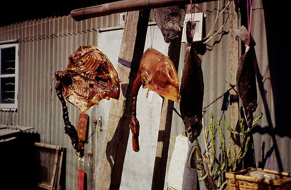 Pressed duck in the wind, Macau 1987