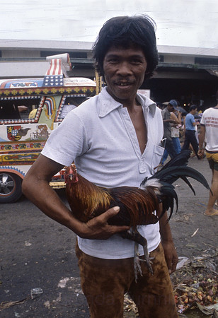 Taking his prize cock to the fight, Philippines 1982