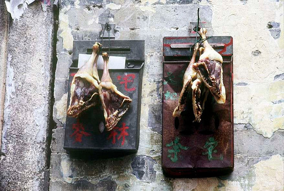 Drying ducks on letterbox, Shatin, Hong Kong 1988