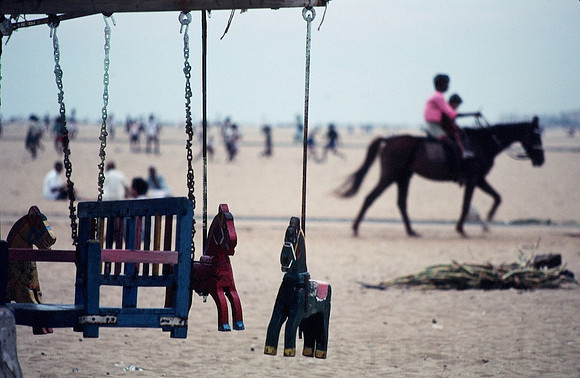madras horses
