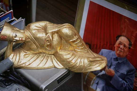 Mao gets gold!