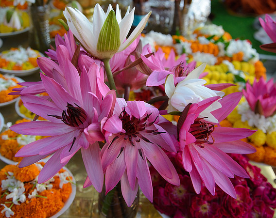 Flower offerings
