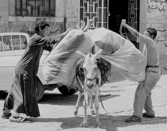 Aleppo, donkey goes to market